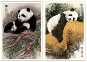 收藏领域再添新品---‘启点’大熊猫钞艺画隆重发行