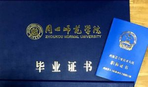 “三证”人才培养，为周口师范学院美术学院毕业生就业插上翅膀