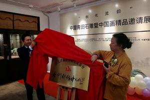 “秋光流韵”百宏文化浙江国际美协青田石雕展暨书画展在西子湖畔开幕