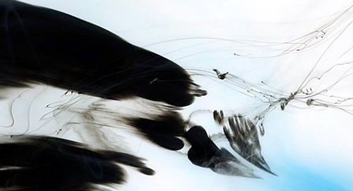 Abstract . 首届“中国 · 广东抽象”展