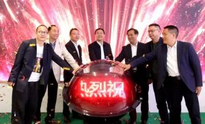 湖南隆回百年百家百联书法精品展盛大启幕